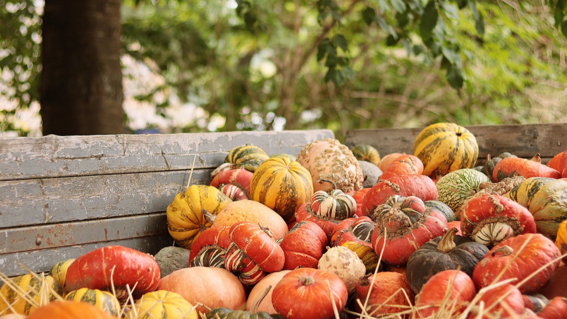 Herzlich Willkommen auf der Homepage der CDU Leinebergland ! 